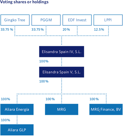 Voting shares or holdings