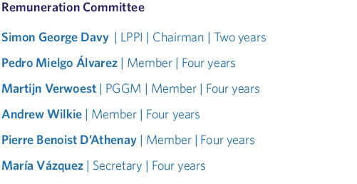 Remuneration Committee
