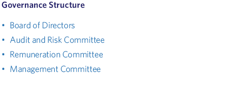 Governance Structure