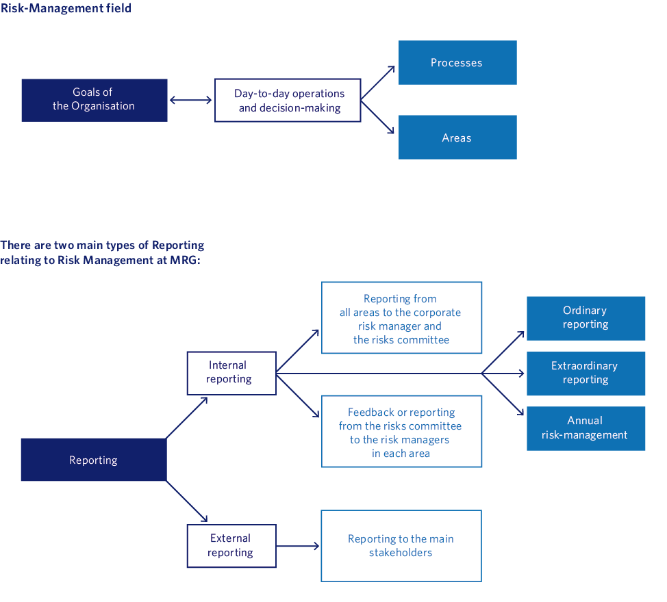 Risk-Management field