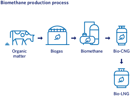 Biomethane production process